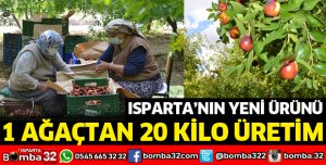 ISPARTA'NIN YENİ ÜRÜNÜ HÜNNAP