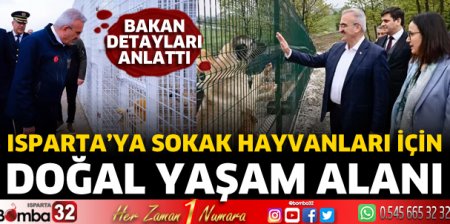 Isparta'ya sokak hayvanları için doğal yaşam alanı