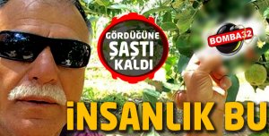 İŞTE İNSANLIK BU DEDİRTEN OLAY 