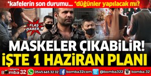 İşte Türkiye'nin 1 Haziran planı