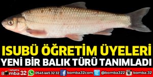 ISUBÜ Öğretim Üyeleri tarafından yeni bir balık türü tanımlandı
