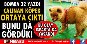 İŞYERİNDEN ÇALINAN KÖPEK BULUNDU