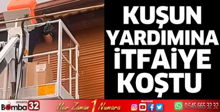 İtfaiye ekipleri kuşu kurtardı