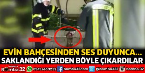İTFAİYE EKİPLERİ SAKLANDIĞI YERDEN ÇIKARDILAR