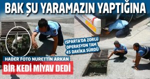 İtfaiye Erlerinin Zorlu Kedi Kurtarma Operasyonu