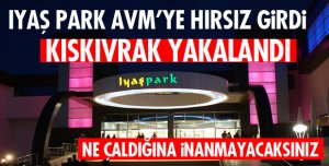 IYAŞ PARK'A HIRSIZ GİRDİ