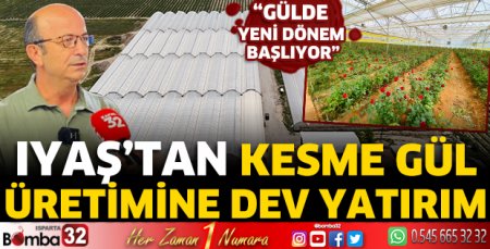 IYAŞ’tan kesme gül üretimine dev yatırım