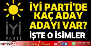İYİ Parti'de 18 aday adayı var 