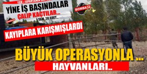 Jandarmadan Büyük Operasyon !
