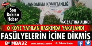 JANDARMADAN UYUŞTURUCU OPERASYONU