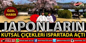 JAPONLARIN KUTSAL ÇİÇEKLERİ YANI BAŞIMIZDA