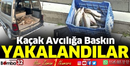Kaçak avcılığa baskın