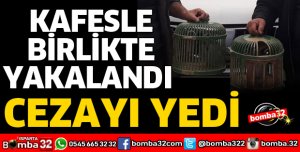 KAÇAK AVCIYA CEZA
