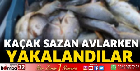 Kaçak sazan avlarken yakalandılar 