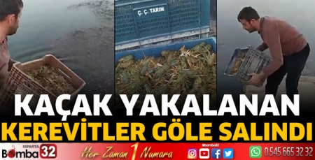 Kaçak yakalanan kerevitler göle salındı