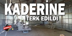 Kaderine Terk Edildi