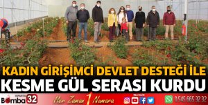 Kadın girişimci devlet desteği ile sera kurdu