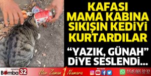 Kafası mama kabına sıkışan kediyi kurtardılar