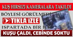 KAFESTEN ÇALDIĞI KUŞU CEBİNE SOKUP EVE GÖTÜRDÜ