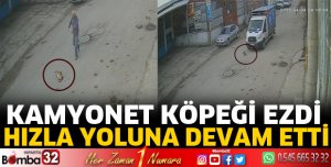 Kamyonetin ezdiği köpek öldü