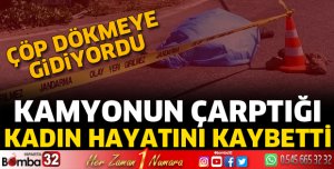 Kamyonun çarptığı yaya öldü