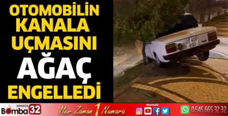 Kanala uçacakken ağaç kurtardı