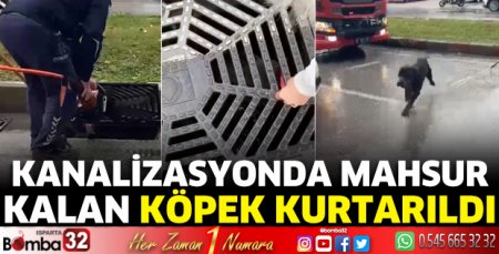 Kanalizasyonda mahsur kalan köpek kurtarıldı