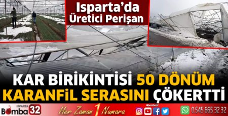 Kar birikintisi 50 dönüm karanfil serasını çökertti