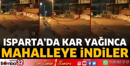 Kar yağınca mahalleye indiler