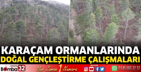 Karaçam Ormanlarında doğal gençleştirme çalışmaları 