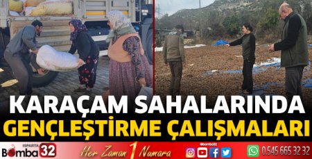 Karaçam sahalarında gençleştirme çalışmaları