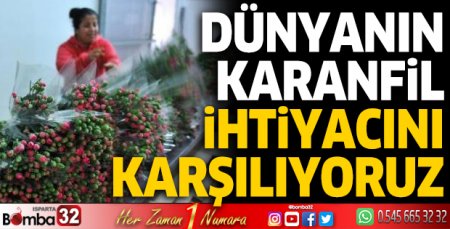 Karanfil ihiyacı karşılanıyor ama kazanamıyoruz