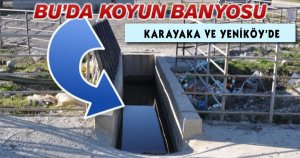 Karayaka ve Yeniköy'de Koyunlar Banyo Yapacak