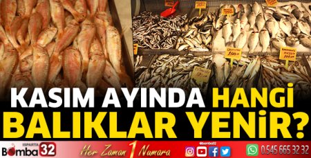 Kasım ayı hangi balıklar yenir?