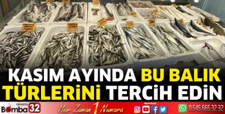 Kasım ayında bu balık türlerini tercih edin