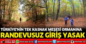 KASNAK MEŞESİ ORMANINA RANDEVUSUZ GİRİŞ YASAK