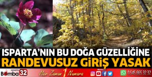Kasnak Meşesi'ne randevusuz giriş yasak