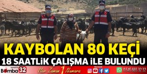 Kaybolan keçi sürüsü bulundu