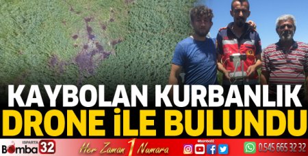 Kaybolan kurbanlık drone ile bulundu 