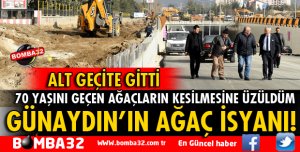 KAYBOLAN YEŞİLLİĞİ TEKRAR KAZANDIRMAK İSTİYORUM