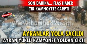 KAZADA KAMYONETTEKİ AYRANLAR YOLA SAÇILDI