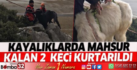Keçi kurtarma operasyonu