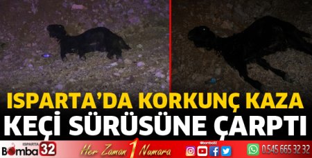 Keçi sürüsüne çarptı