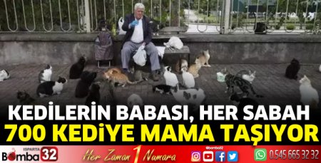 'Kedilerin babası', her sabah 700 kediye mama taşıyor