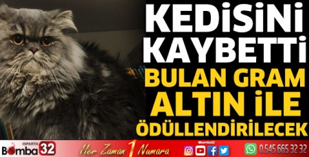 Kedisini kaybetti 