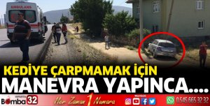 Kediye çarpmamak için manevra yapınca şarampole uçtu