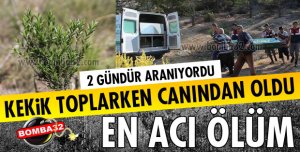 KEKİK TOPLARKEN CANINDAN OLDU