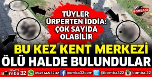 KENT MERKEZİNDE ÖLÜ HALDE BULUNDULAR