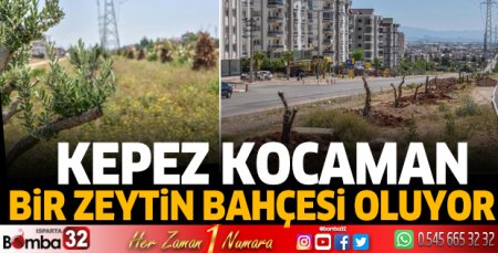 Kepez kocaman bir zeytin bahçesi oluyor