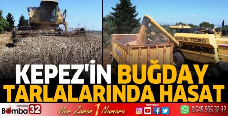 Kepez'in buğday tarlalarında hasat